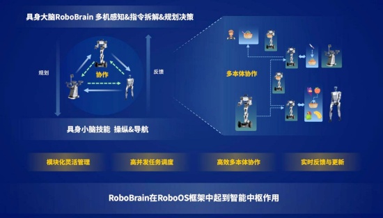 005056b806c2295434b202_副本.jpg