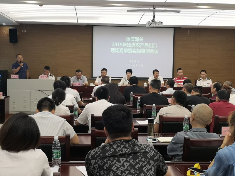 2019043017364385485(海关1.jpg
