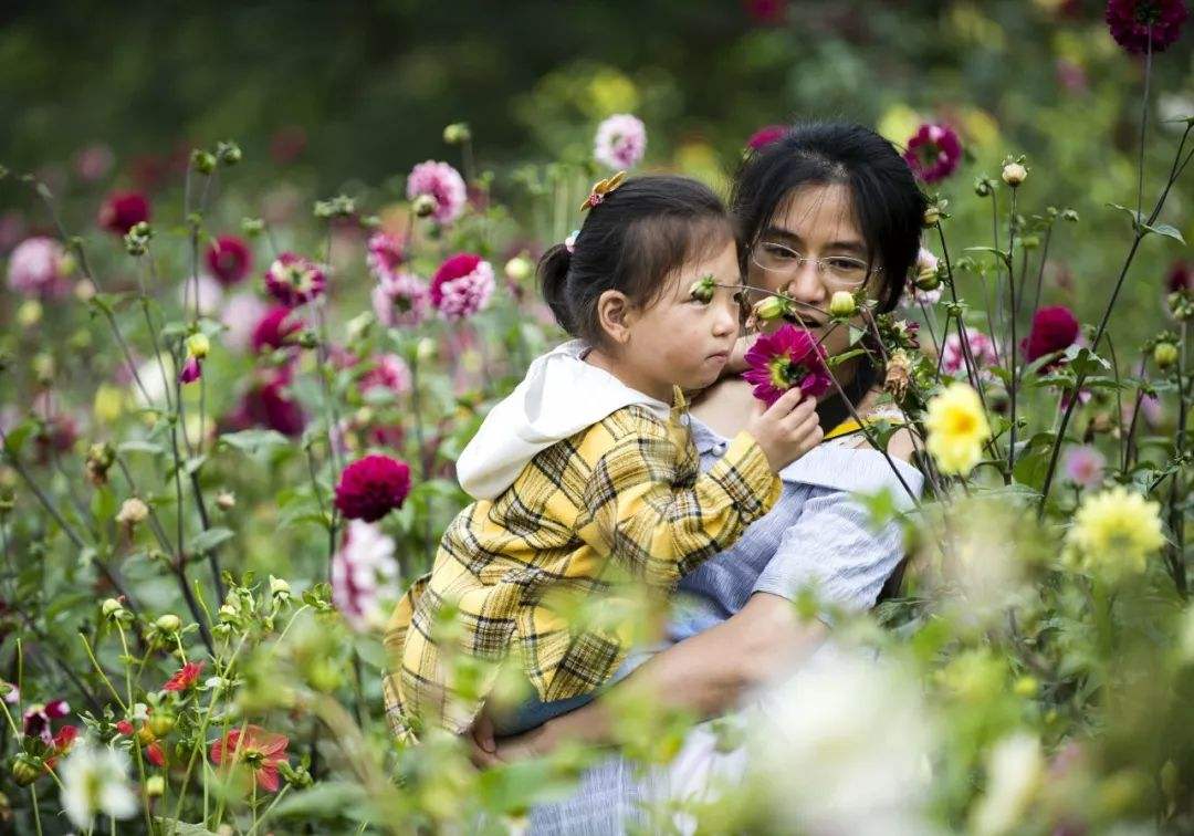 微信图片_20190604184502（图片000000.jpg