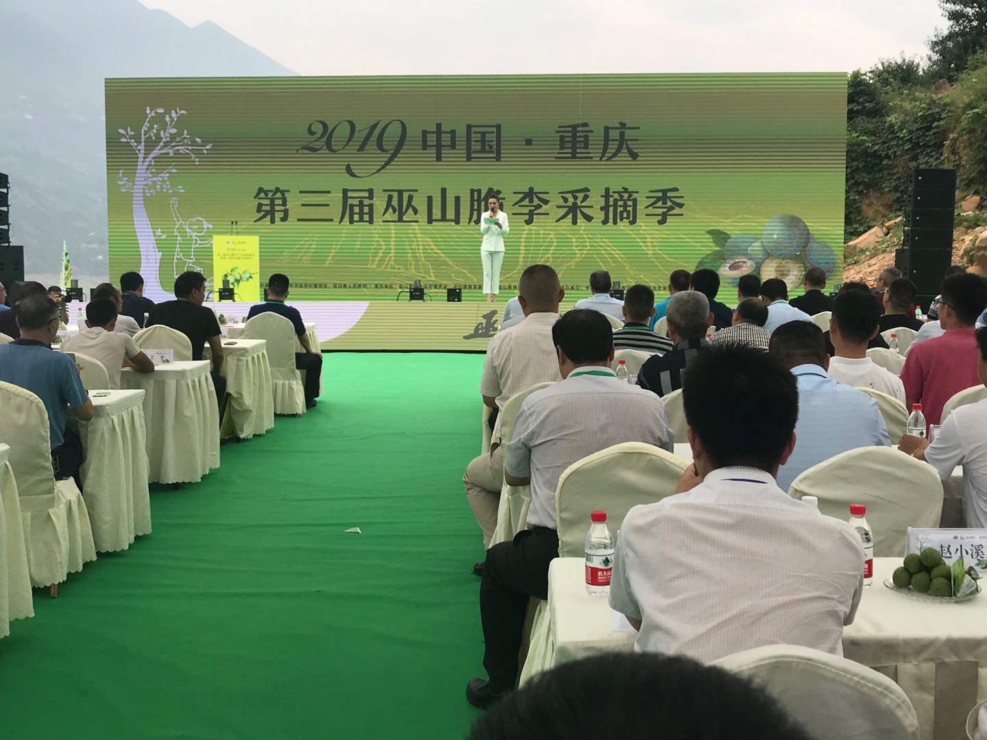 微信图片_20190628084804（采摘.jpg