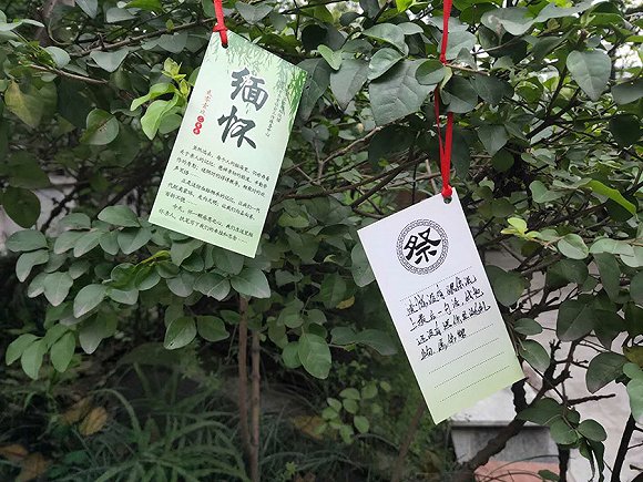 f27a-irpunah2125588（民政.jpg