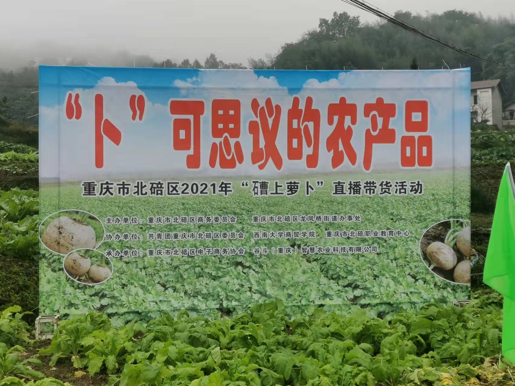 （北碚1.jpg