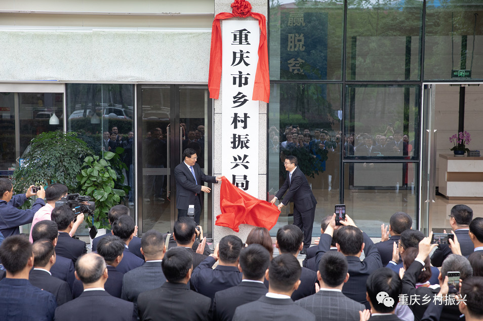（图111_副本.jpg