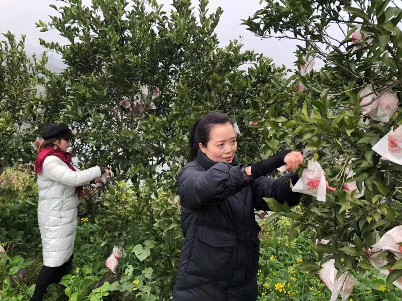 （垫江.jpg