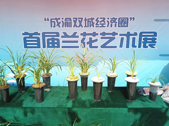 （003_副本.jpg