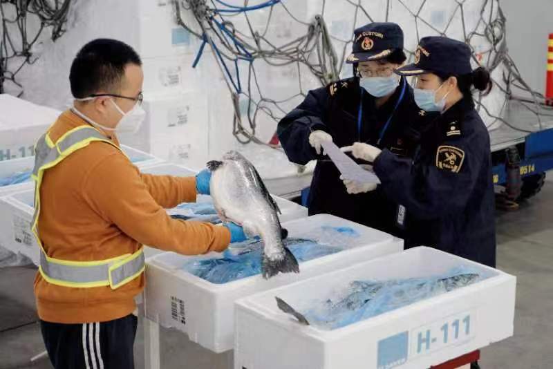 （海关3.jpg