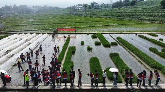 （03_副本.jpg