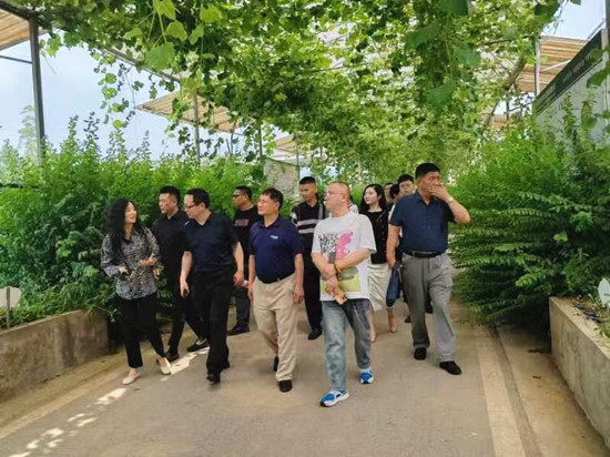 （0004_副本.jpg