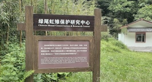 （22_副本.jpg