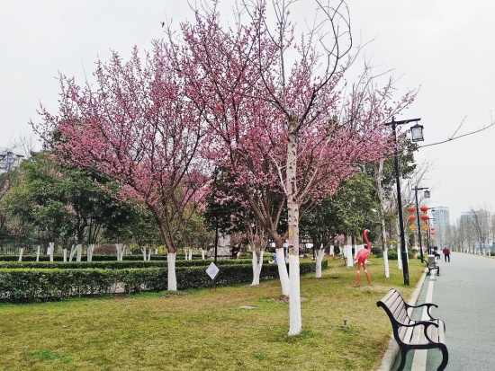 6c7d309998124e69a13f5e57e64b90d6_wh1024x768_副本.jpg