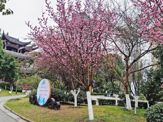 04d80922b16149bd8897aaeca53ae521_wh1024x768_副本.jpg