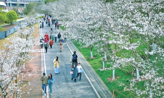 57f63d6b7eb64565ac81100d3eb648a2_wh528x316_副本.jpg