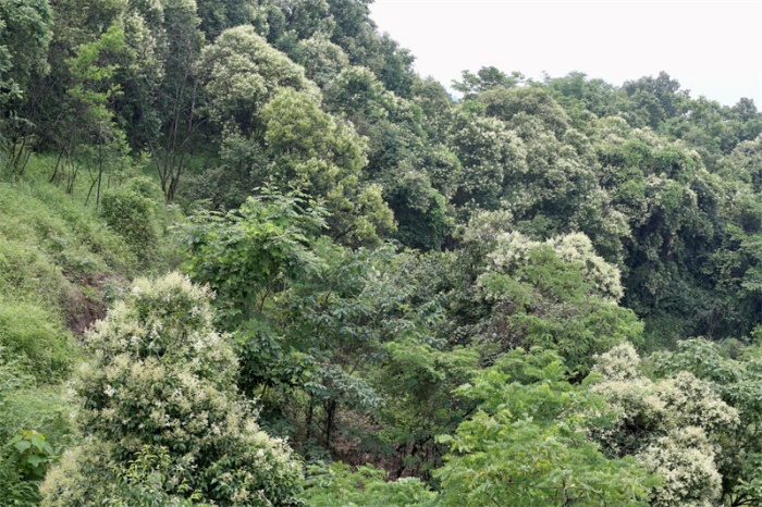 （22_副本.jpg