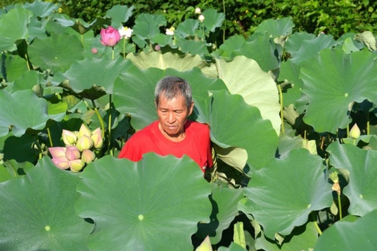 (33_副本.jpg